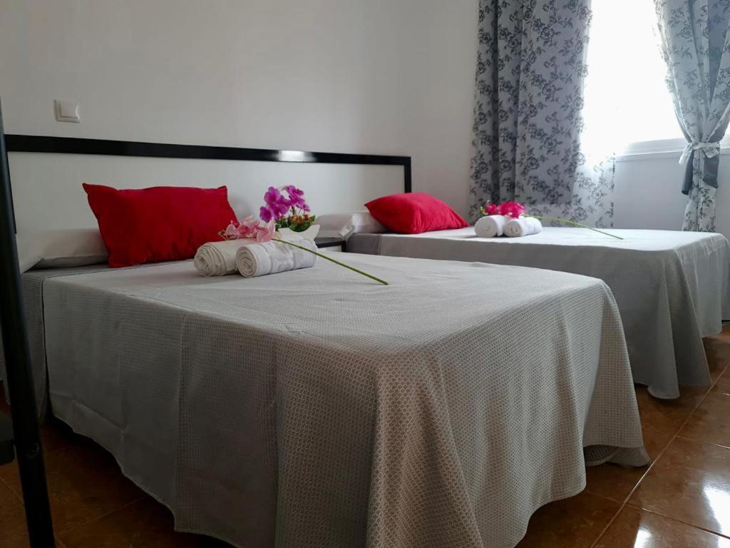 Franmay Apartments - 7 Modern Apartments Near The Beach & City, Perfect For Nomads, Travellers, Families, Watersports! Santa Maria Extérieur photo